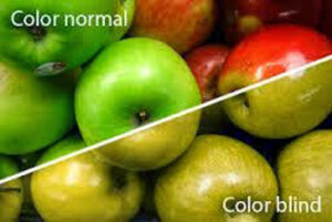 buta-warna-i-see-u