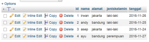 cara-menghapus-data-secara-otomatis-auto-deletion-menggunakan-php