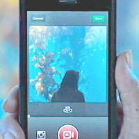 Tips Untuk Mengatasi Video Di Instagram Yang Tidak Bisa Diputar