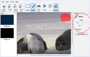Cara Mudah Menghilangkan Water Mark yang Terdapat Di Video 