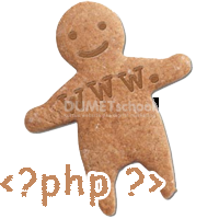 Cara Mudah Membuat Simple Cookie Pada Website