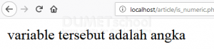 Memahami Fungsi Is_numeric Pada PHP