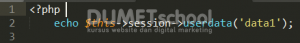 Mengenal Fungsi get_instance() Pada Framework Codeigniter 