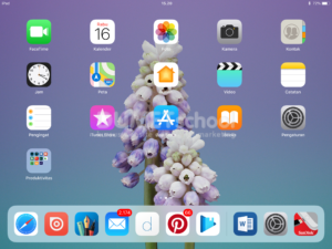 Graphic, Aplikasi Pengganti Adobe Illustrator di iPad Anda