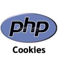 Cara Membuat Cookie Dan Menghapus Cookie Pada Website