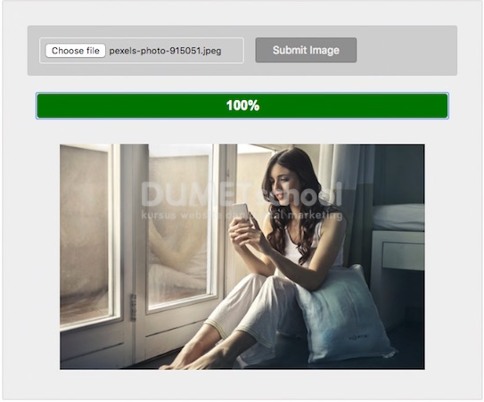 Cara Upload Image jQuery Ajax dengan Animating Progress Bar
