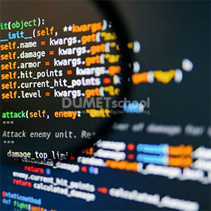 Bahasa Pemrograman yang Cocok untuk Backend