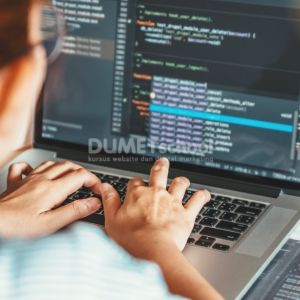 Jenis-Jenis Karier dalam Dunia Web Programming